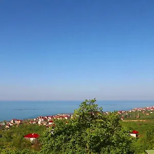Stone Village فيلة